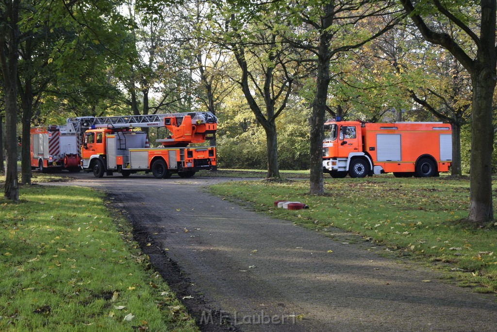 Feuer 1 brannten 3 Lauben Koeln Fuehlingen Kriegerhofstr P152.JPG - Miklos Laubert